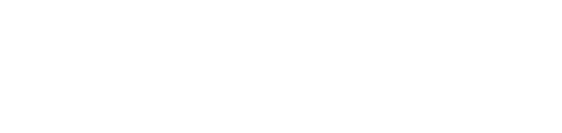 NetApp Insight Logo